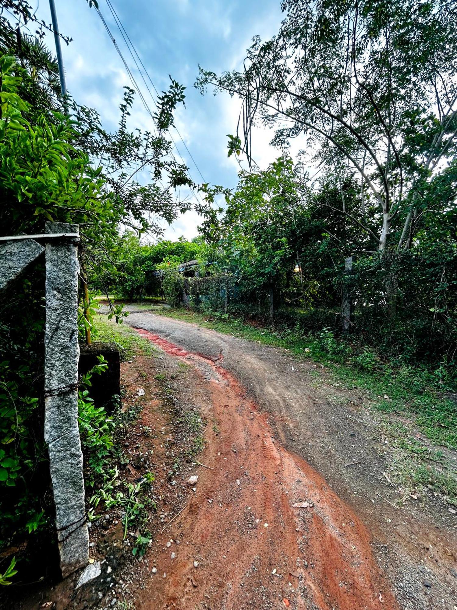 Boomerang Community Auroville Zewnętrze zdjęcie