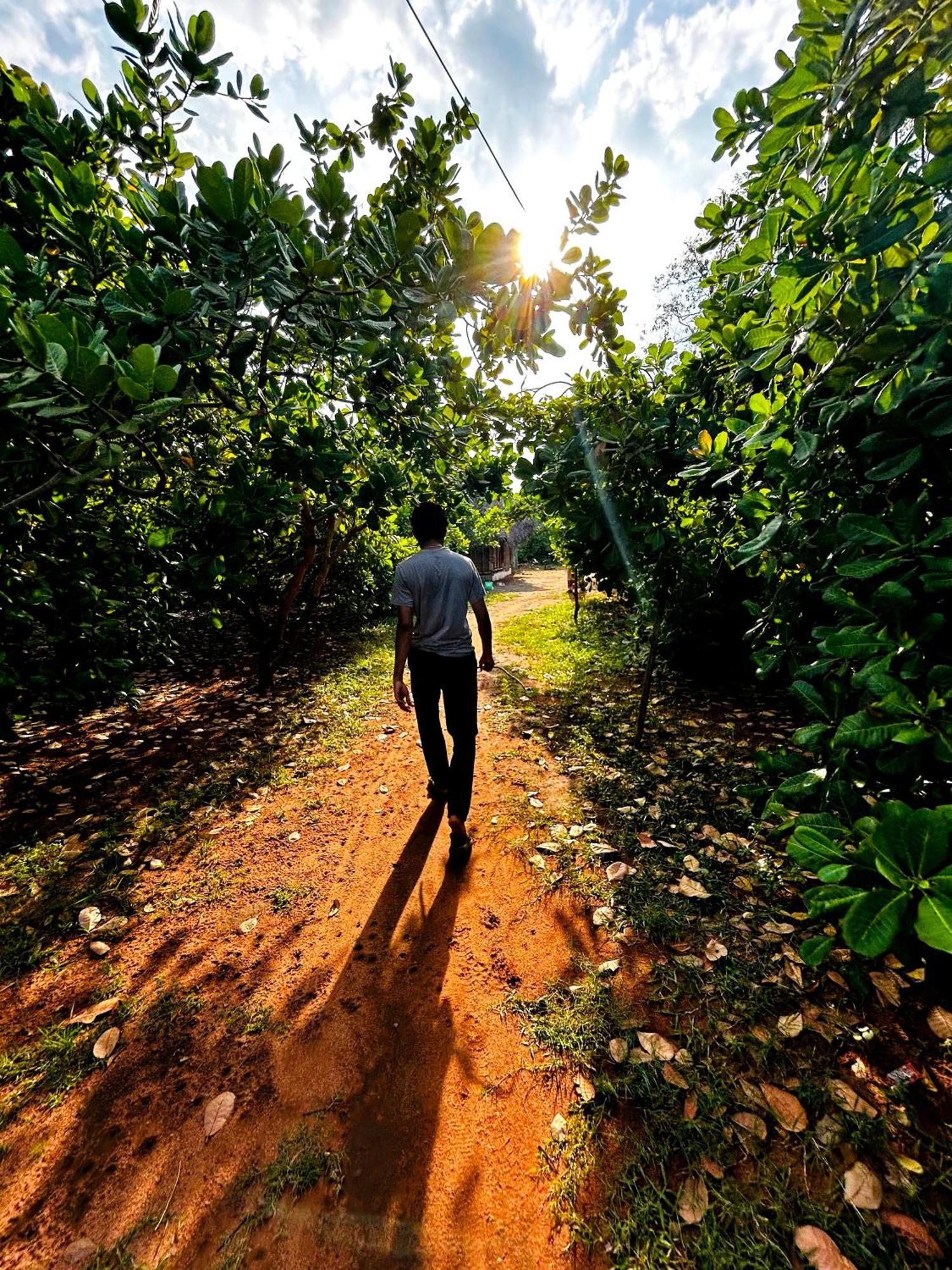 Boomerang Community Auroville Zewnętrze zdjęcie