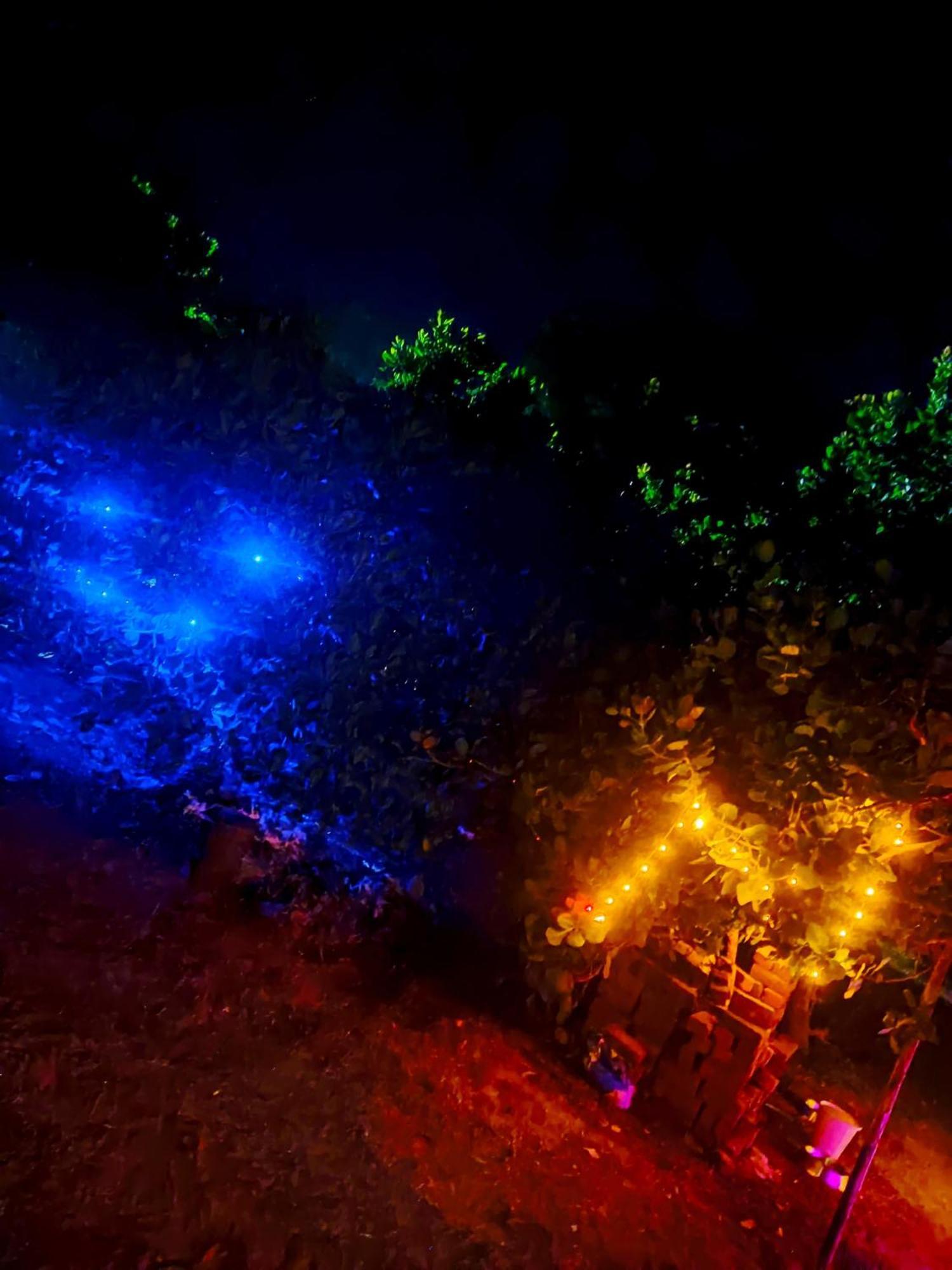 Boomerang Community Auroville Zewnętrze zdjęcie