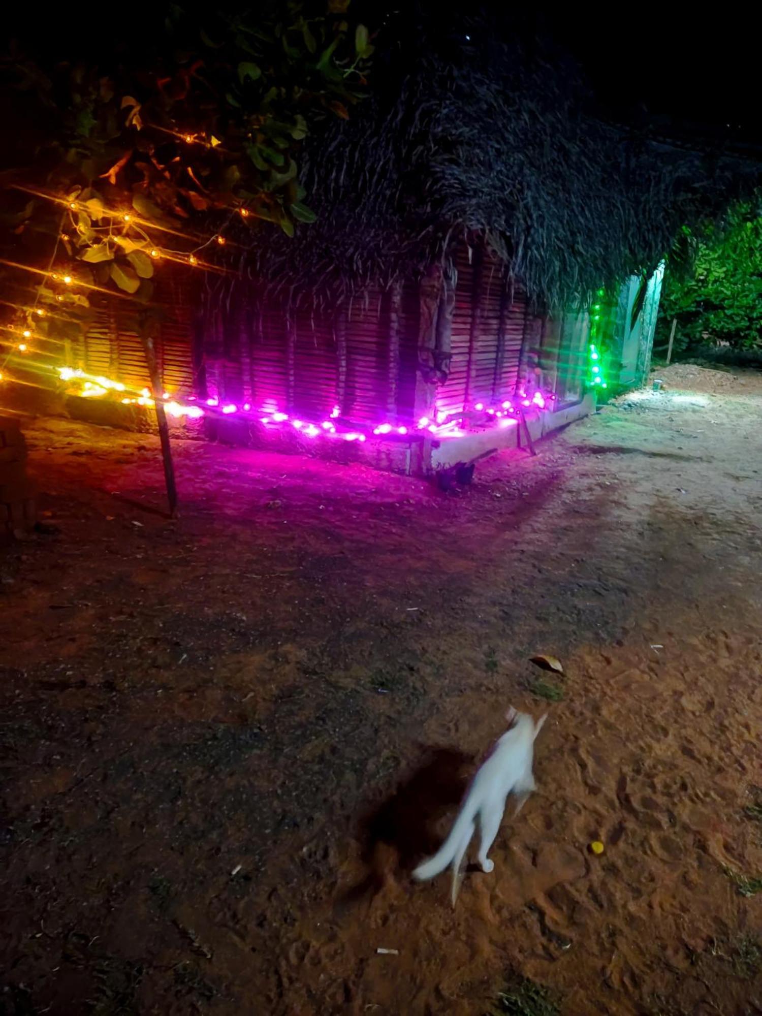 Boomerang Community Auroville Zewnętrze zdjęcie