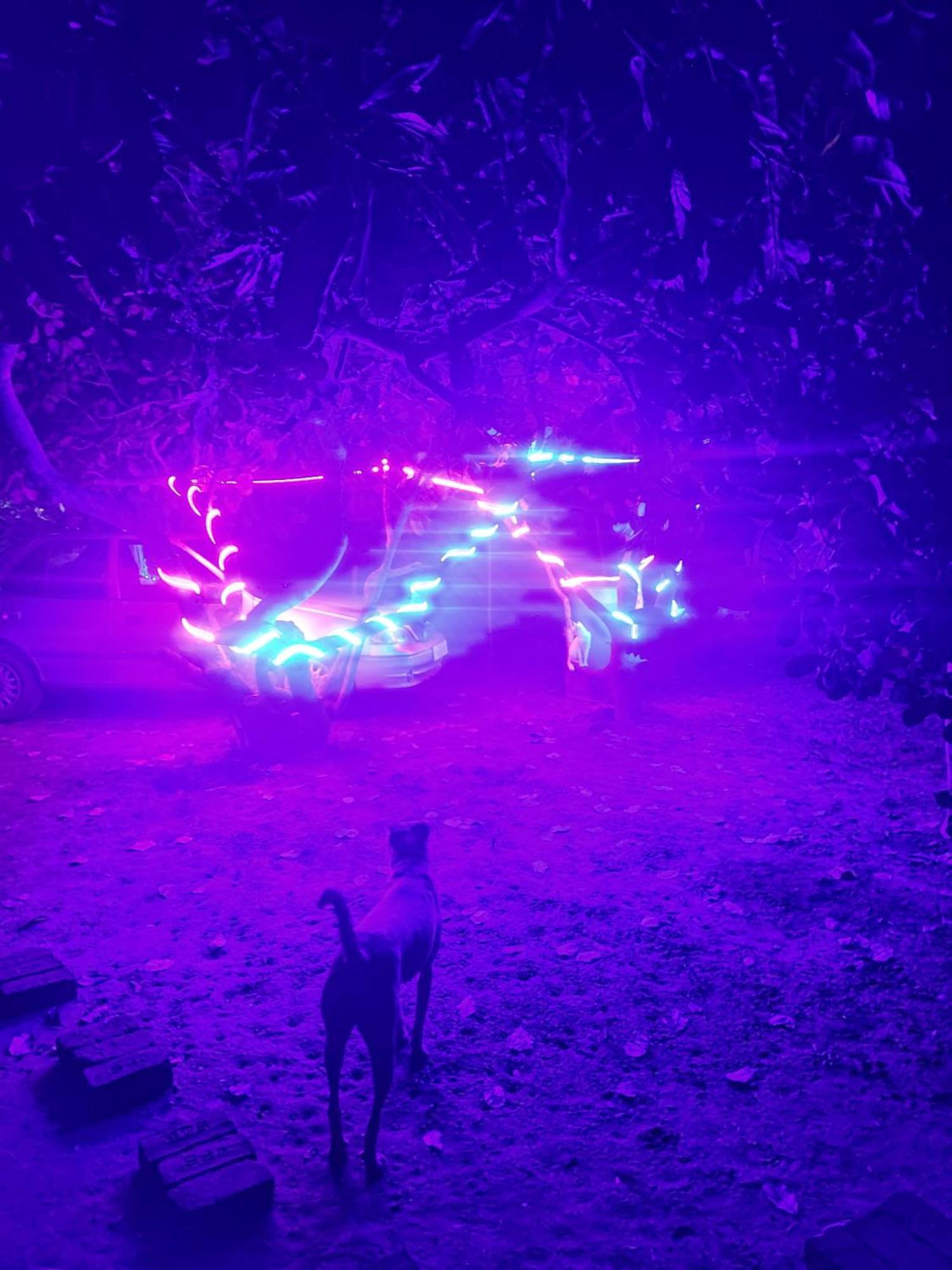 Boomerang Community Auroville Zewnętrze zdjęcie