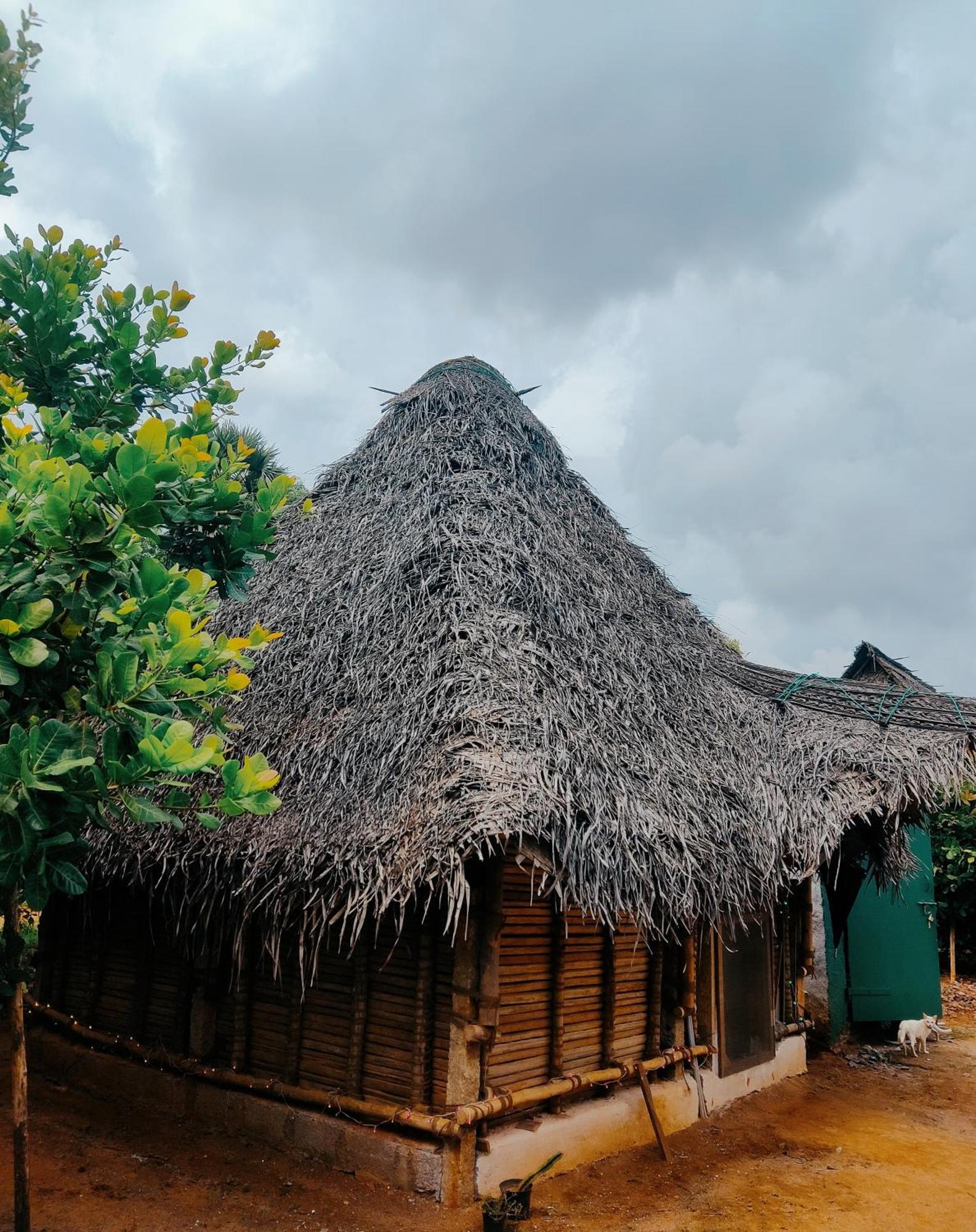 Boomerang Community Auroville Zewnętrze zdjęcie